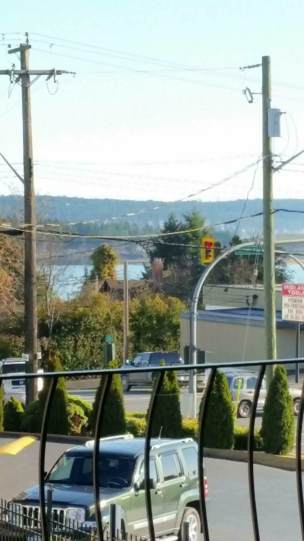 Port-O-Call Inn Nanaimo Eksteriør billede